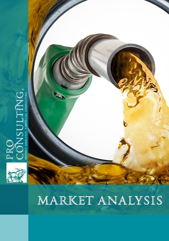 Market research report on gasoline and diesel fuel market in Ukraine. 2024 year